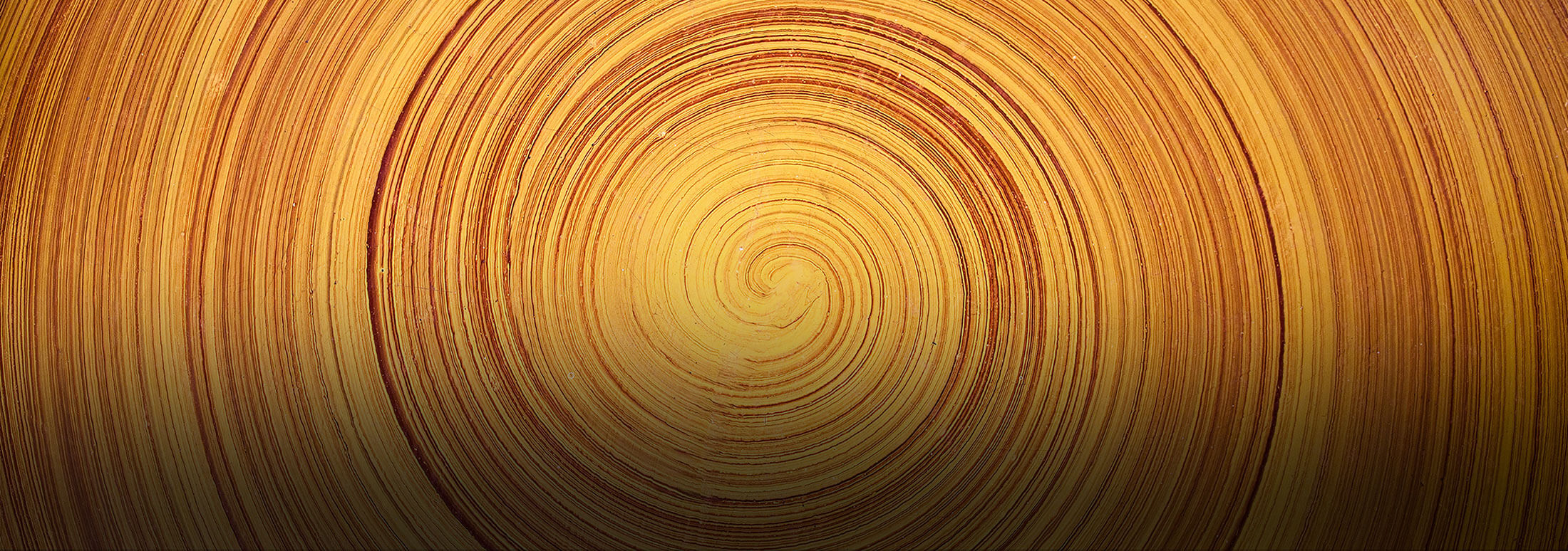 home-tree-rings.jpg